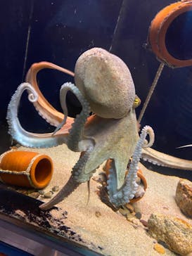 株式会社Gに投稿された画像（2023/5/6）