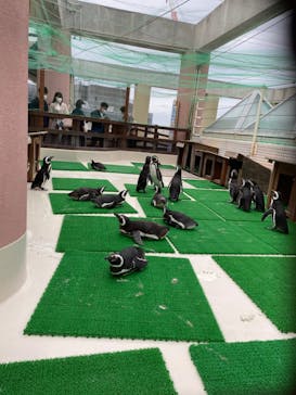 株式会社Gに投稿された画像（2023/5/6）