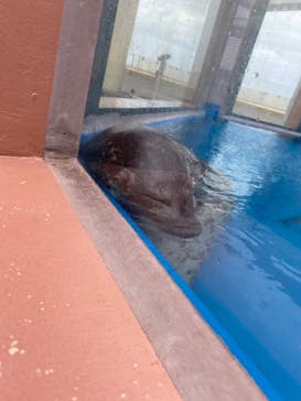 株式会社Gに投稿された画像（2023/5/6）