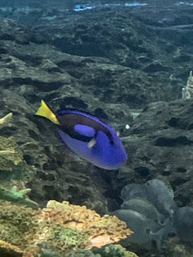 名古屋港水族館に投稿された画像（2023/5/6）