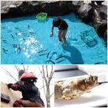 軽井沢おもちゃ王国に投稿された画像（2023/5/6）