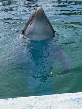 横浜・八景島シーパラダイスに投稿された画像（2023/5/6）