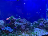 名古屋港水族館に投稿された画像（2023/5/6）