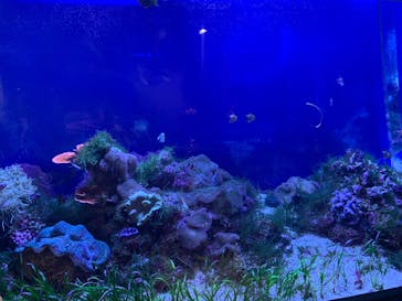 名古屋港水族館に投稿された画像（2023/5/6）