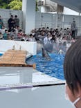 九十九島水族館海きららに投稿された画像（2023/5/6）