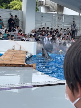 九十九島水族館海きららに投稿された画像（2023/5/6）