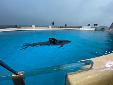 マリンワールド海の中道に投稿された画像（2023/5/6）