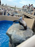 アクアワールド茨城県大洗水族館に投稿された画像（2023/5/6）