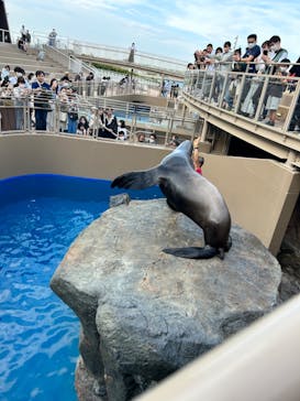 アクアワールド茨城県大洗水族館に投稿された画像（2023/5/6）