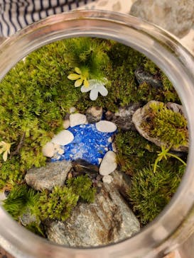 カルチャースクールいろはに投稿された画像（2023/5/6）