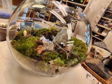 カルチャースクールいろはに投稿された画像（2023/5/6）