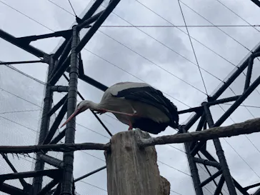 天王寺動物園に投稿された画像（2023/5/6）