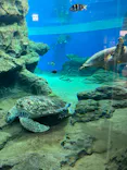 名古屋港水族館に投稿された画像（2023/5/6）