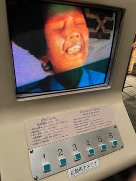 野外民族博物館 リトルワールドに投稿された画像（2023/5/6）