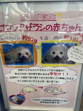 ゼロ距離水族館 伊勢シーパラダイスに投稿された画像（2023/5/6）