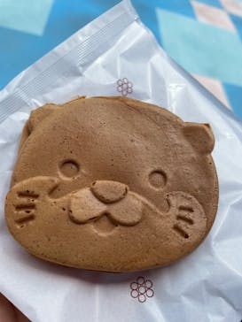 ゼロ距離水族館 伊勢シーパラダイスに投稿された画像（2023/5/6）