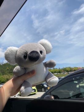 淡路ファームパーク イングランドの丘に投稿された画像（2023/5/6）