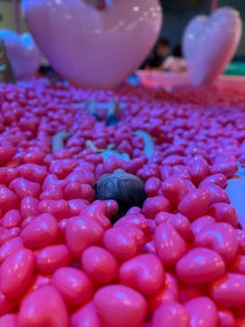 ハピピランド ラグーナ蒲郡に投稿された画像（2023/5/6）