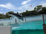 しながわ水族館に投稿された画像（2023/5/6）