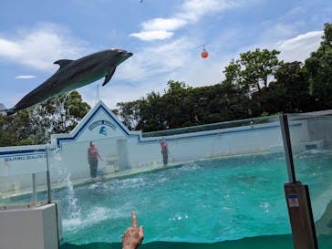 しながわ水族館に投稿された画像（2023/5/6）