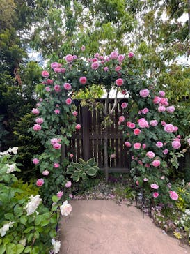 横浜イングリッシュガーデンに投稿された画像（2023/5/6）