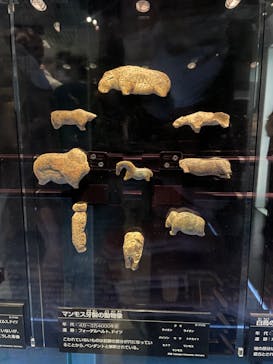 国立科学博物館に投稿された画像（2023/5/6）