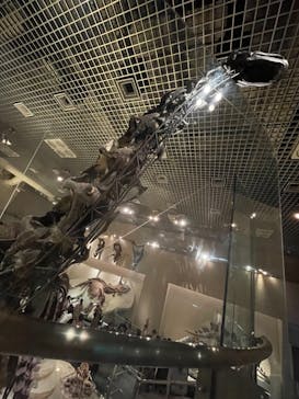 国立科学博物館に投稿された画像（2023/5/6）