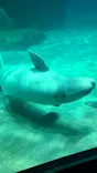 名古屋港水族館に投稿された画像（2023/5/6）