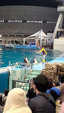 名古屋港水族館に投稿された画像（2023/5/6）