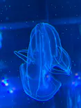 名古屋港水族館に投稿された画像（2023/5/6）