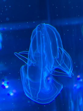 名古屋港水族館に投稿された画像（2023/5/6）