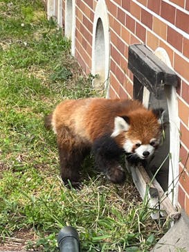東武動物公園に投稿された画像（2023/5/6）