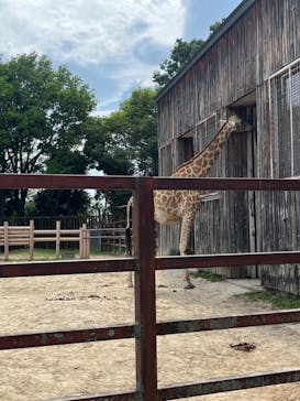東武動物公園に投稿された画像（2023/5/6）