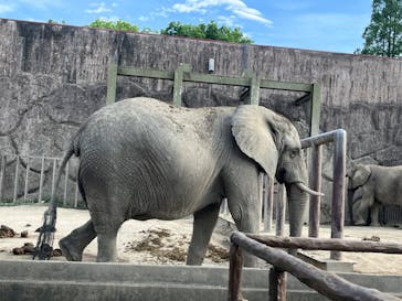 東武動物公園に投稿された画像（2023/5/6）