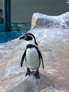 東武動物公園に投稿された画像（2023/5/6）