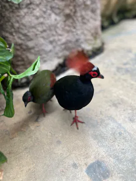 神戸どうぶつ王国に投稿された画像（2023/5/6）