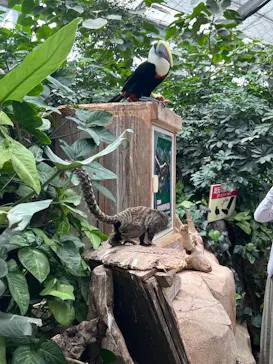 神戸どうぶつ王国に投稿された画像（2023/5/6）