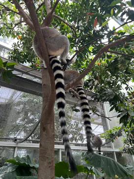 神戸どうぶつ王国に投稿された画像（2023/5/6）