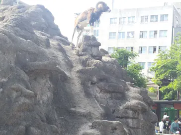 天王寺動物園に投稿された画像（2023/5/6）