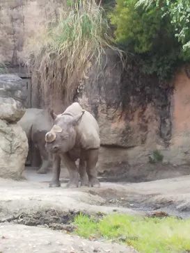 天王寺動物園に投稿された画像（2023/5/6）