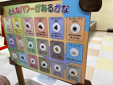 おもちゃ王国（岡山）に投稿された画像（2023/5/6）