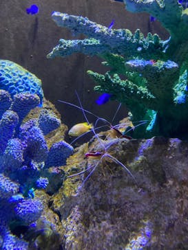 登別マリンパークニクスに投稿された画像（2023/5/6）