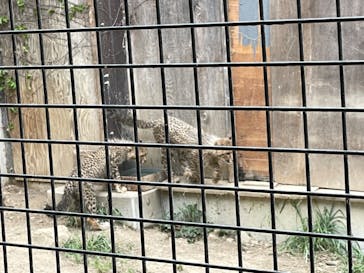 群馬サファリパークに投稿された画像（2023/5/6）