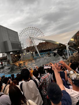 名古屋港水族館に投稿された画像（2023/5/6）