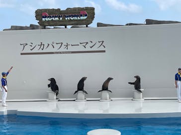 鴨川シーワールドに投稿された画像（2023/5/6）