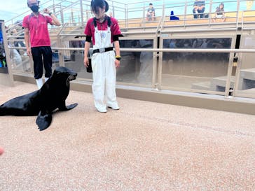 アクアワールド茨城県大洗水族館に投稿された画像（2023/5/6）