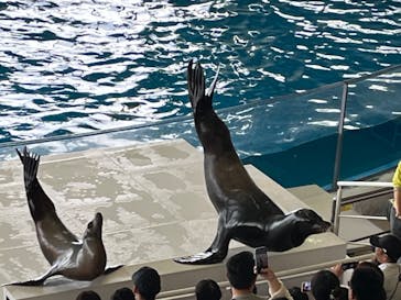 アクアワールド茨城県大洗水族館に投稿された画像（2023/5/6）