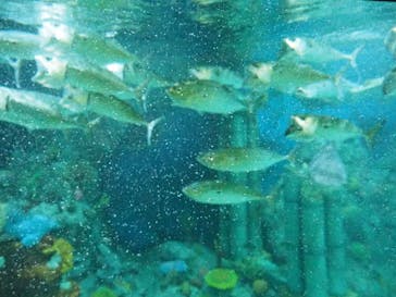 レゴランドⓇ・ジャパン・リゾートに投稿された画像（2023/5/6）