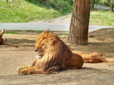 群馬サファリパークに投稿された画像（2023/5/6）