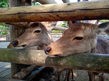 群馬サファリパークに投稿された画像（2023/5/6）